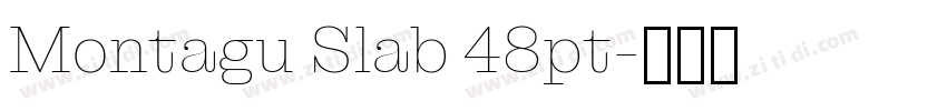 Montagu Slab 48pt字体转换